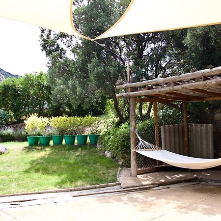 Loft De Montana Los Guayacanes San José de Maipo Exteriér fotografie